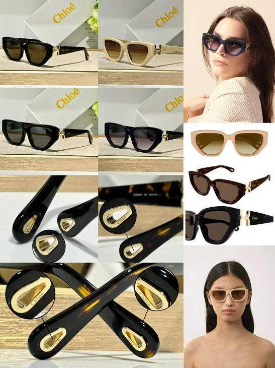 Picture of Chloe Sunglasses _SKUfw76989423fw